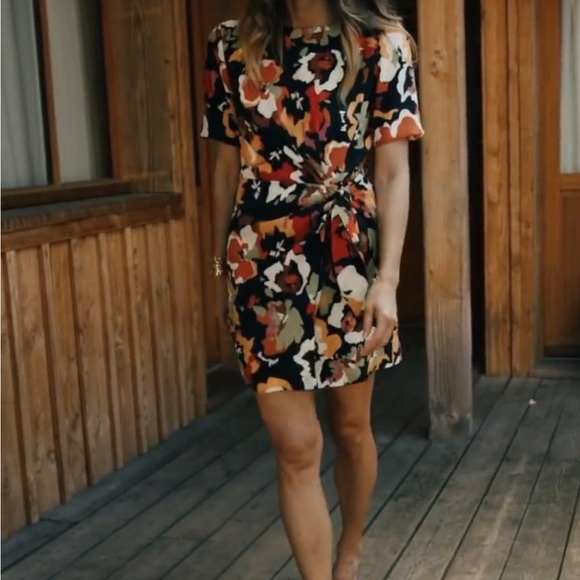 Plume Paris Aurora Dress - Picture 2 of 8